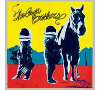 The Avett Brothers – True Sadness – CD