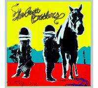 The Avett Brothers True Sadness (Vinyl) 12" Album