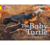 The Baby Turtle