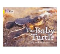 The Baby Turtle by Angie Belcher Collins Big Cat (Auteur)