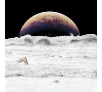 The Back Horn - Pulse [Import]