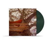 The Backseat Lovers Waiting to Spill (Vinyl) D2C Exclusive