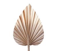The Baked Studio - Décoration de gâteau en feuilles de palmier séchées (moka latte et ombré doré)