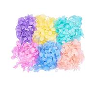 The Baked Studio - Ensemble original d'hortensia séchées pour décoration de gâteaux et cupcakes - Violet, citron, rose, bleu, pêche, turquoise (pastel arc-en-ciel)