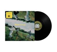 The Band CAMINO – NeverAlways – Vinyle LP – Neuf – Atlantic Bicycle