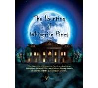 The Banner Boy Scouts In The Air