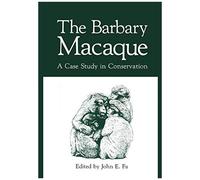 The Barbary Macaque