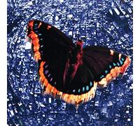 Intuition – The Baroness : Royal Treatment