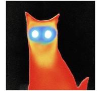 The Basement - Wired [Compact Discs]