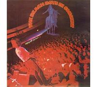 The Beach Boys in Concert [Vinyl Schallplatte] [Doppel-LP]