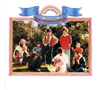 The Beach Boys - Sunflower / Surf's Up by The Beach Boys Original recording remastered edition (2000) Audio CD