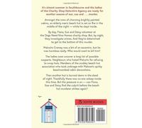THE BEACH HUT MURDERS an absolutely gripping cozy mystery filled with twists and turns