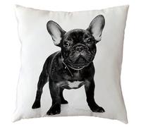 The Beach Stop Adorable Dog Housse de Coussin Souple, French Bulldog Black, 45 x 45 cm