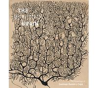 The Beautiful Brain : The Drawings of Santiago Ramon y Cajal