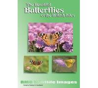 The Beautiful Butterflies of the British Isles