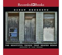 The Beautiful Things That Heaven Bears [Import]