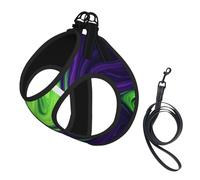The Beauty Of Color Harnais pour chien respirant, réfléchissant et réglable, adapté pour les petits chats et chiens