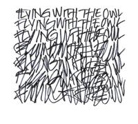 The Beauty of Gemina Flying With the Owl (CD) Album