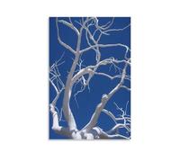 The Beauty of White Dead Tree Lines Art mural Impression d'image moderne Décoration de chambre familiale 50 x 75 cm