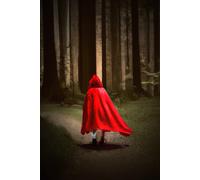 The Bedtime Story Book: A Modern Take On Classic Tales