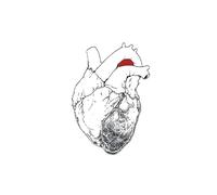 The Beggar – Rough Trade Distribution GmbH