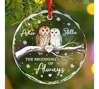 The Beginning of Always Ornaments for Newlywed Couples, décorations de Noël personnalisées en verre pour couple de hiboux, 1er Noël en tant que Mr et Mrs Hiboux, noms personnalisés et année couple
