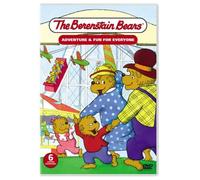 The Berenstain Bears - Adventure & Fun for Everyone [Import USA Zone 1]