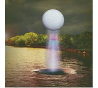 THE BESNARD LAKES - A COLISEUM COMPLEX MUSUEM (LIMITED VINYL LP NEUF