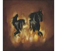 The Besnard Lakes are the dark horse CD