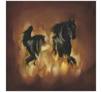 The Besnard Lakes Are The Dark Horse - Vinyle 33 Tours