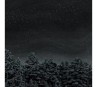 The Besnard Lakes - The Besnard Lakes Are The Prayers For The Death of Fame [VINYL]