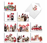 The Best Card Company Happy Howling Days AM9562HHG-B2x10-US Lot de 20 cartes de vœux assorties avec enveloppes 10,2 x 13 cm