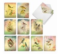 The Best Card Company Lot de 20 cartes de remerciement avec enveloppes Motif oiseaux chanteurs 10 x 13 cm AM6948TYG-B2x10