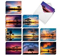 The Best Card Company Lot de 20 cartes vierges assorties 10 x 13 cm avec enveloppes (10 modèles, 2 de chaque) décor arbre AM10325OCB-B2x10