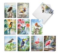 The Best Card Company Lot de 20 cartes vierges assorties 10 x 13 cm avec enveloppes (10 motifs, 2 de chaque) Oiseaux exotiques aquarelles AM10701OCB-B2x10