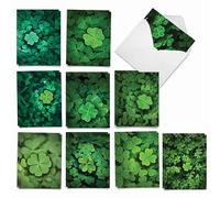The Best Card Company Lucky Clovers AM9079SPG-B2x10 Lot de 20 cartes avec enveloppes assorties pour la Saint Patrick 10 x 13 cm