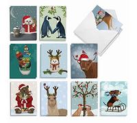 The Best Card Company Noel Animals AM9558XSG-B2x10 Lot de 20 cartes de Noël assorties avec enveloppes 10 x 13 cm
