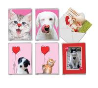 The Best Card Company Pet Love AM10972VDG-B6x6 Lot de 36 cartes de Saint-Valentin assorties 10,2 x 13,9 cm avec enveloppes (6 motifs, 6 de chaque)