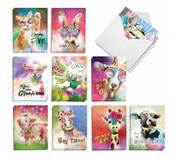 The Best Card Company Sassy Animals AM8850OCB-B2x10 Lot de 20 cartes avec enveloppes 10,2 x 13,9 cm