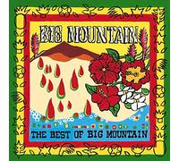 The Best of Big Mountain