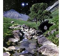 The Beta Band The Beta Band (Vinyl) Deluxe 12" Album with CDEP