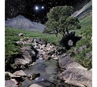 The Beta Band Edition Deluxe Vinyle