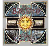 The Bevis Frond Any Gas Faster (Vinyl) 12" Album