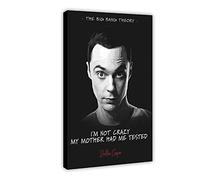 The Big Bang Theory Poster de film noir Citation Sheldon Cooper 1 toile Décoration murale pour salon Décoration intérieure Cadre 40 × 60 cm