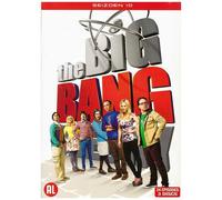 The Big Bang Theory - Saison 10 : Inclus Version Française (Dvd)