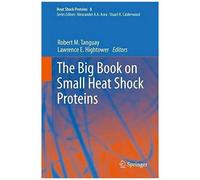 The Big Book On Small Heat Shock Proteins