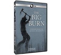 The Big Burn (American Experience)