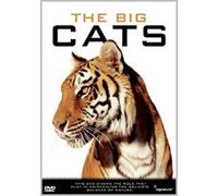The Big Cats G