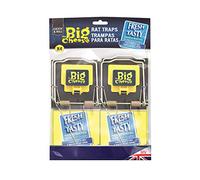 The Big Cheese Lot de 4 pièges à Rat appâté Frais Multicolore