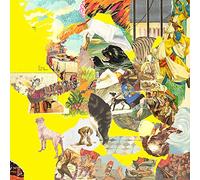 The Big Exercise - Vinyle Jaune